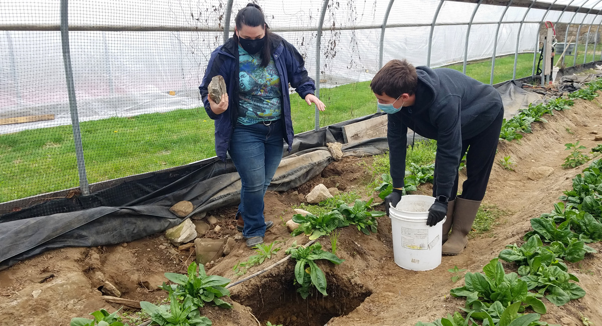 Organic, Farming, Rhode Island, Disabilities, Volunteerism, Education, Community, Home Based Therapeutic Services
