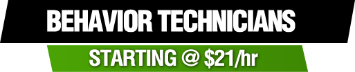 Behavior Technicians